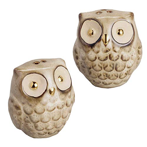 Vintage Gold Reactive Glaze Owl Salt and Pepper Shaker Set - Cute Ceramic Kitchen Decor - Unique Home Kitchen Decoration - Perfect Cooking Gift - Animal Kitchen Seasoning Accessory - 2 Piece Set