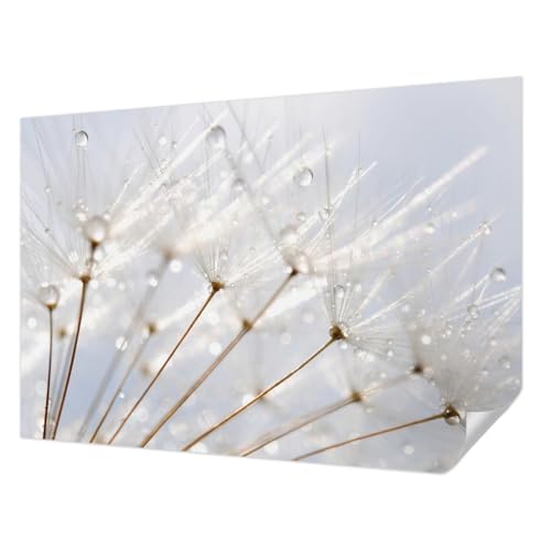 Papel tapiz autoadhesivo resistente a las manchas moderno diente de león 152x104 2