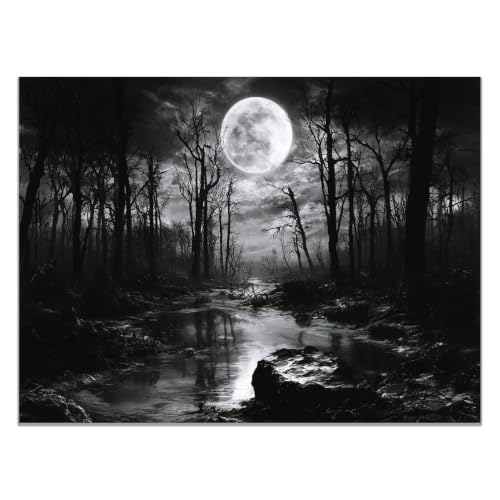 Cuadros decoracion salon lienzo moderno en blanco y negro de 40x60cm sin marco