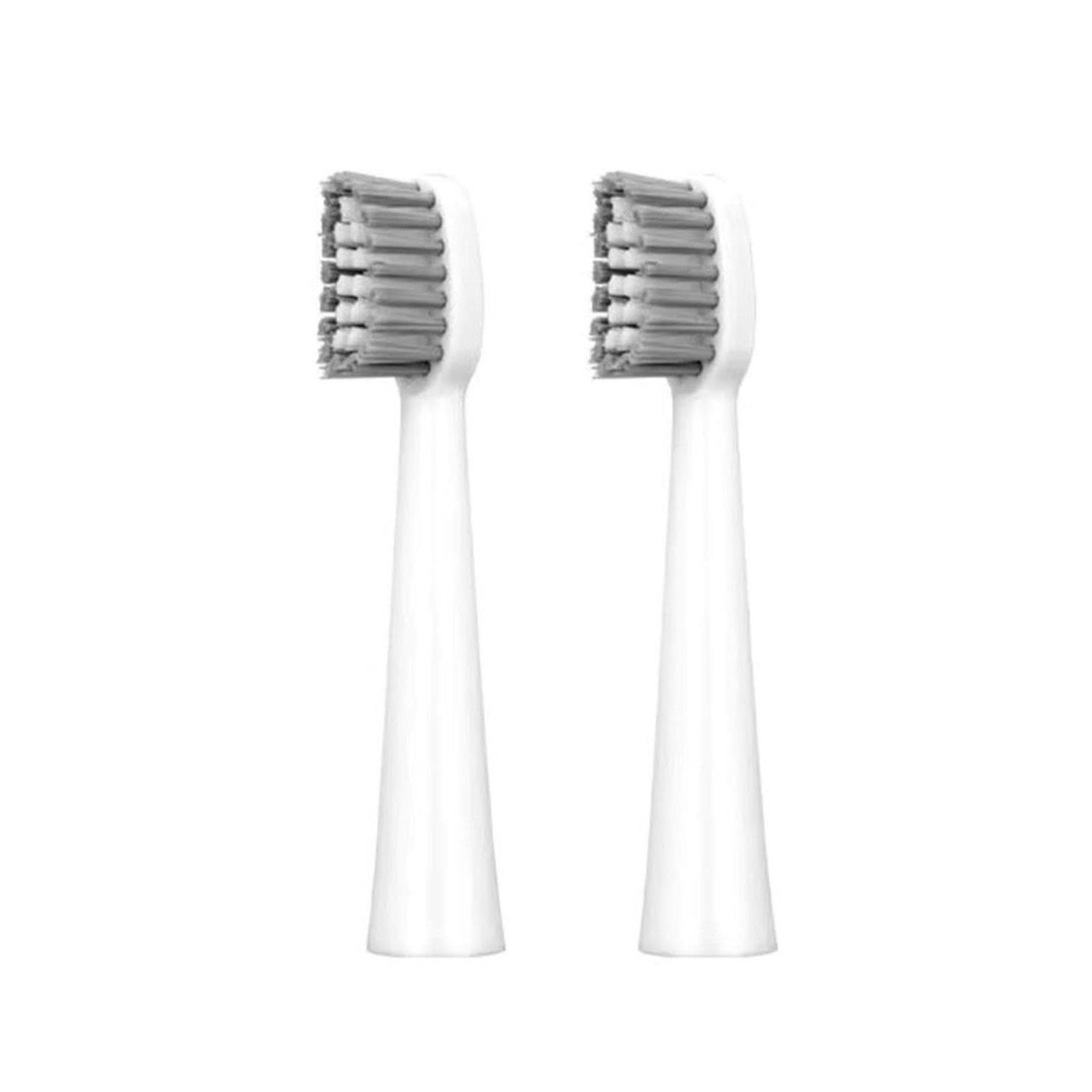 Testine, compatibile con 7AM2M, AM106 adulti setole morbide