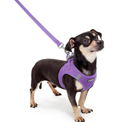 Image of rabbitgoo Dog Harness Small Sized and Leash Set, Step-in Puppy Pet Vest