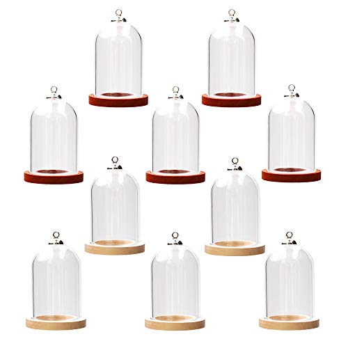 ZenRa 10-Piece Glass Dome Pendant Set - Wooden Base Mixed Color Glass Cabochons (38x25mm)