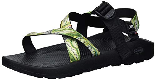 Chaco (チャコ) メンズ Z1 クラシック スポーツサンダル US サイズ: 14