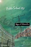Public School 201
