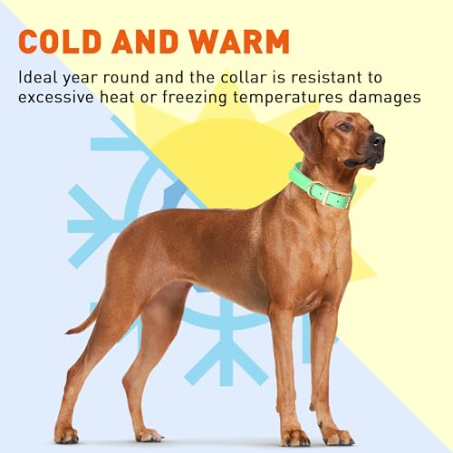 Image of Viper Biothane Heavy Duty Waterproof Dog Collar Strong Coated Nylon Webbing w /Solid Brass Hardware Odor-Proof for Easy Care to Clean High Performance Fits Small Medium or Large Dogs, Sea Foam Green