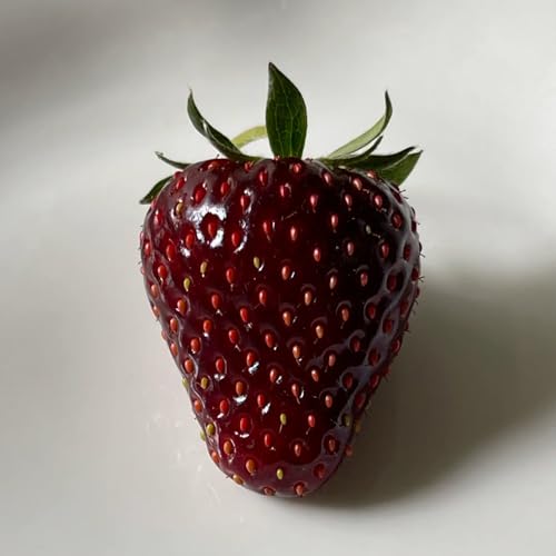 semi di fragola appesi - fragola - sapote, resistenti fragole rampicanti fragole, interno da colonnari 400pcs