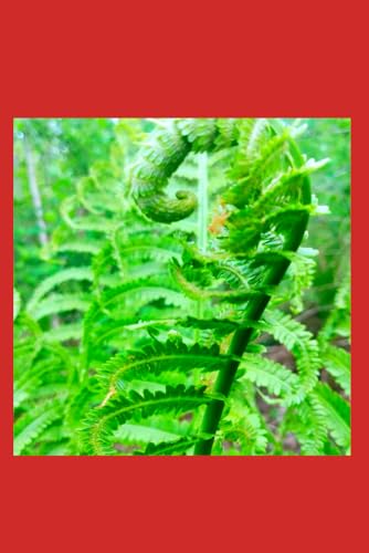 FERN fiddleheads: Notebook