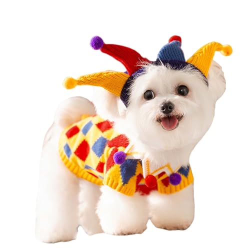 Costume de bouffon pour chien pour fêter Halloween et Mardi Gras en famille