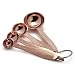 Sur La Table Copper-Plated Measuring Spoons S1604121 , Set of 4
