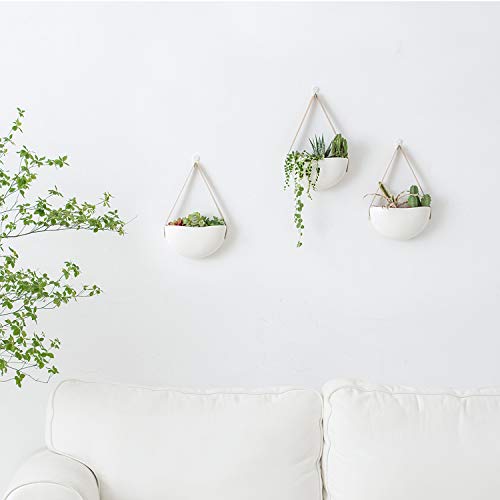 Mkono Wall Planter For Indoor Plants Ceramic Hanging Flower Pots For Succulent Air Plant Cactus Bathroom Living Room Office Porch Decor 7Inch White Set Of 3  thumb #2