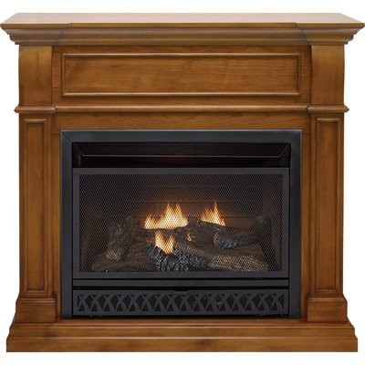 ProCom Dual Fuel Vent-Free Fireplace - 26,000 BTU, Apple Spice Finish,  Model FBD28T-J-AS : Amazon.ca: Home