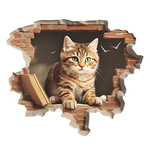 Vinilos decorativos Achang Kit Gato 3D para pared