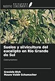 rio grande do sul cidades mais bonitas  Suelos y silvicultura del eucalipto en Rio Grande do Sul: Casos prácticos