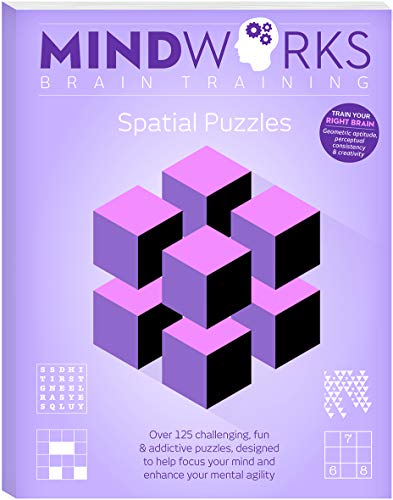 Spatial Puzzles: Mindworks Brain Training view 2