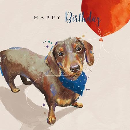 Anniversaire De Chien Teckel Banque D'images Vectorielles - Alamy