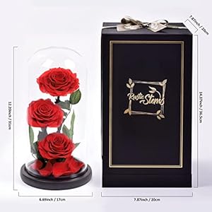 Luxury Preserved Real Rose Glass Dome Eternal Flower Forever Beauty Beast Love Gift for Mom Women Wife Girlfriend Valentineβs Wedding Birthday Anniversary Christmas Decor Luxury Preserved Real Rose Glass Dome Eternal Flower Forever Beauty Beast Love Gift for Mom Women Wife Girlfriend Valentines Wedding Birthday Anniversary Christmas Decor