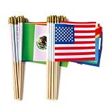 Yingnner 48 Countries Small Mini Hand Flags with Wooden Stick, Decorations for 2026 World Cup Soccer Fans, Watch Party, Sports Events, Patriotic Celebrations International Festival 5x8 Inch