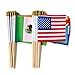 Yingnner 48 Countries Small Mini Hand Flags with Wooden Stick, Decorations for 2026 World Cup Soccer Fans, Watch Party, Sports Events, Patriotic Celebrations International Festival 5x8 Inch