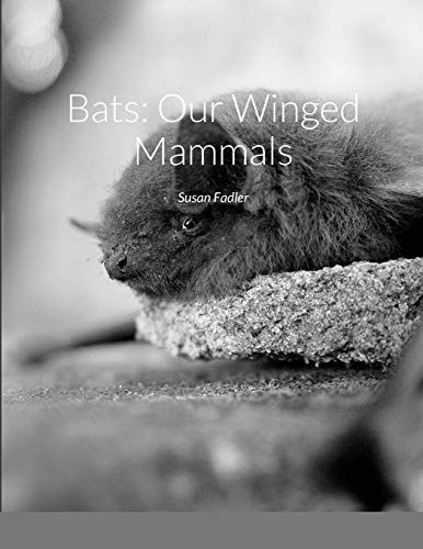 Bats: Our Winged Mammals
