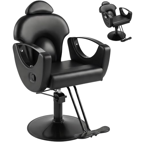 Hicomony Salon Barber Chair