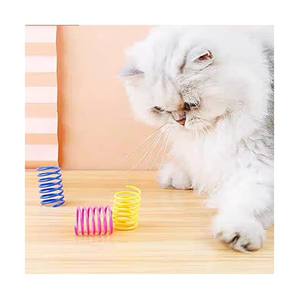 ISMARTEN Katzenfederspielzeug (100 Stück), interaktives Katzenspielzeug für Indoor-Katzen, Leichter zuverlässiger Kunststoff, Kunststoff-Katzenspule für Kätzchen zum Swaten, Beißen, Jagen – Bild 5