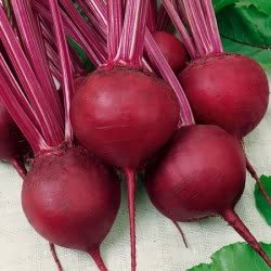 Pmw - Germination Purpose Beetroot Seeds - 50 Seeds Approximate-image-28
