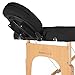 Saloniture Professional Portable Folding Massage Table with Carrying Case - Black