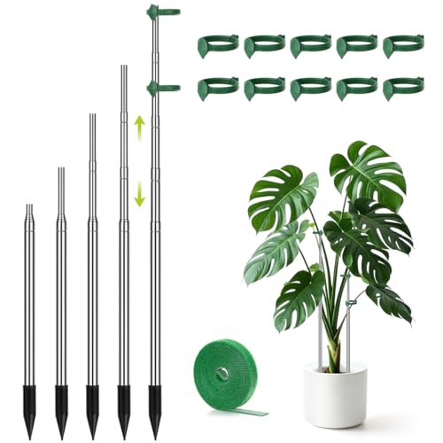 Aieve Lot de 5 piquets Extensibles pour Plantes, 33 cm à 125 cm, en Acier Inoxydable, pour Plantes Monstera, intérieur et extérieur, pour tomates, légumes, Vigne Monstera
