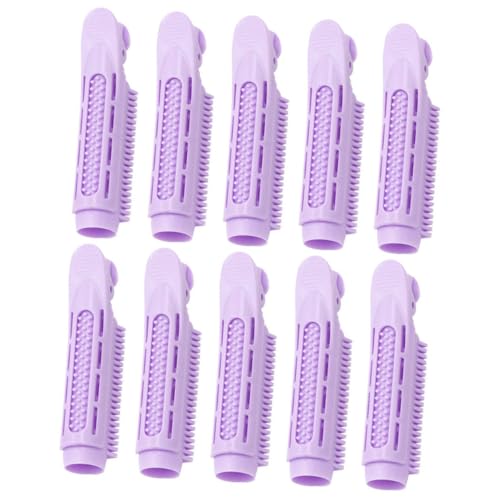 Frcolor 10個 製ヘアカーラークリップ 軽量で持ち運び便利 前髪やボリュームアップに ヘアスリング用根元クリップ 寝ながら使える熱不要巻