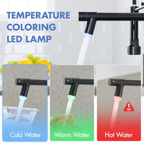 Image of AIMADI Kitchen Faucet,Black Kitchen Faucet,Commercial Pull Down Sprayer | Single Handle Single Hole Spring Kitchen Sink Faucet,Matte Black