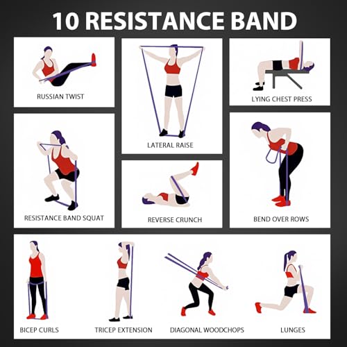 Image of LEEKEY Resistance Bands, Exercise Bands Pull Up Assist Bands - Workout Bands Set - Mobility Band Powerlifting Bands for Men and Women Fitness Training, Physical Therapy,Home Workouts