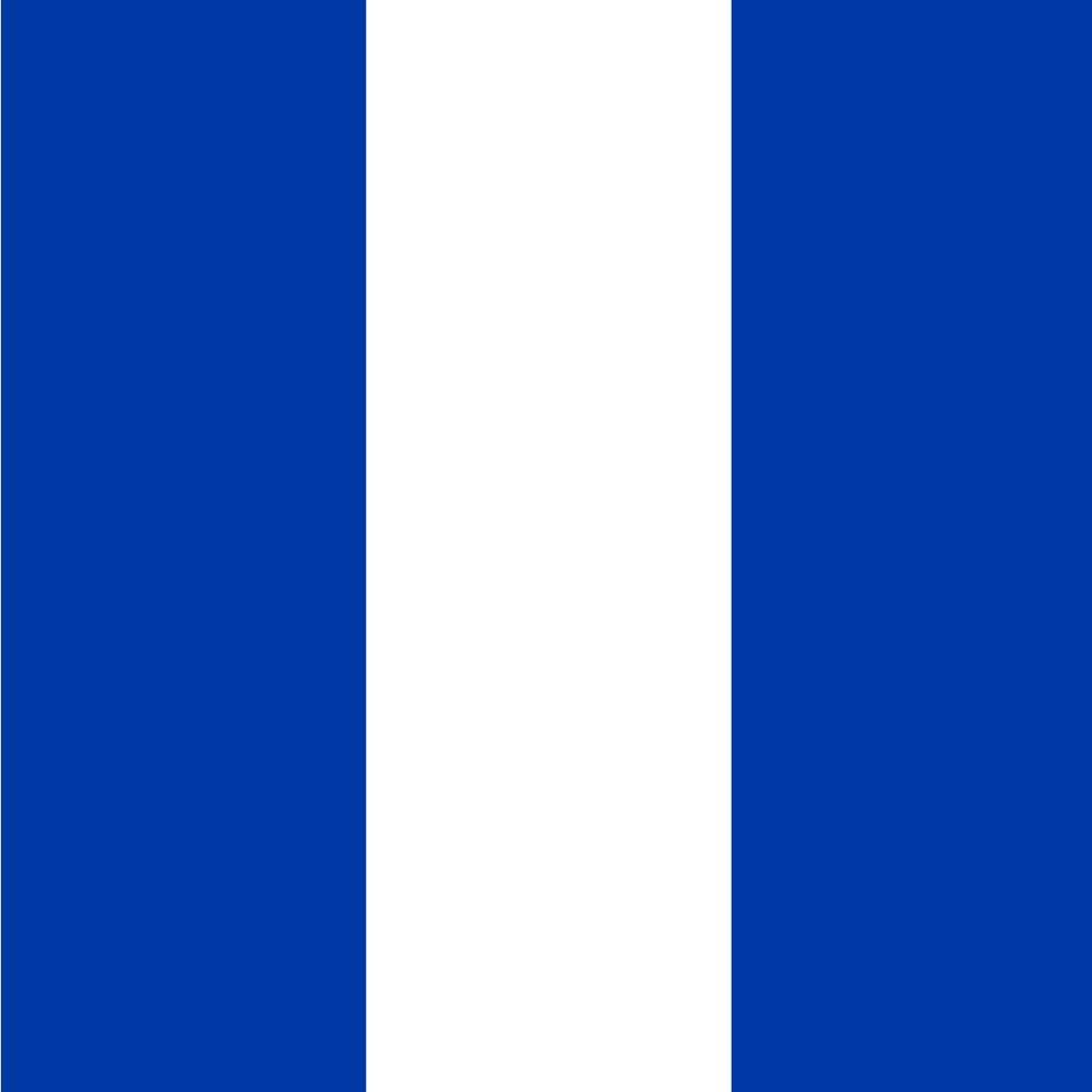 Drapeau Large Weesp before 1595 grand pavillon historique Weesp voor 1595 1,35m²