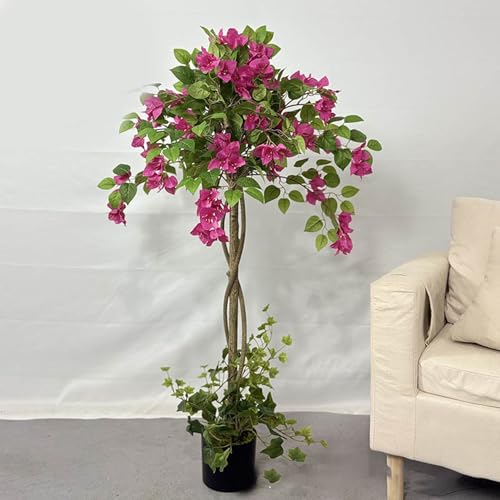 [LJKI] tFCNO[ lHϗtA ϗt  ^ u[QrA K̖ sv Q̐SzȂ bȂ  z[  ItBX CeA  ȒP K̖ A A fR[V p[v Mtg 