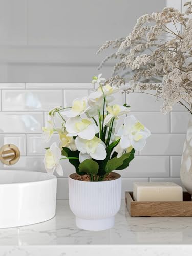 Image of CURATED CART Flower Pot with Artificial Flowers - Orchid White Flower with White Vase | Ideal for Home Decor | Office Decor | Gifting | Size 25 x 15cm