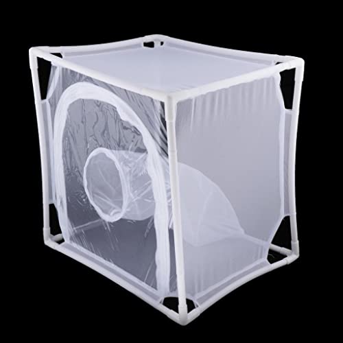 Cage d'élevage de papillons pour sauver les chenilles dehors - 7