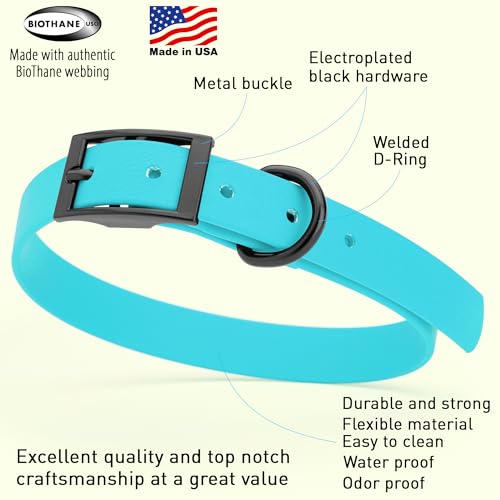 Image of Dogline Biothane Waterproof Dog Collar Strong Coated Nylon Webbing with Black Hardware Odor- Proof for Easy Care Easy to Clean High Performance Fits Small Medium or Large Dogs, Sky Blue