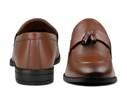 Image of LOUIS STITCH Men's Shoes Tassel Style Comfortable Moccasins for Men (RGMCPLTA)