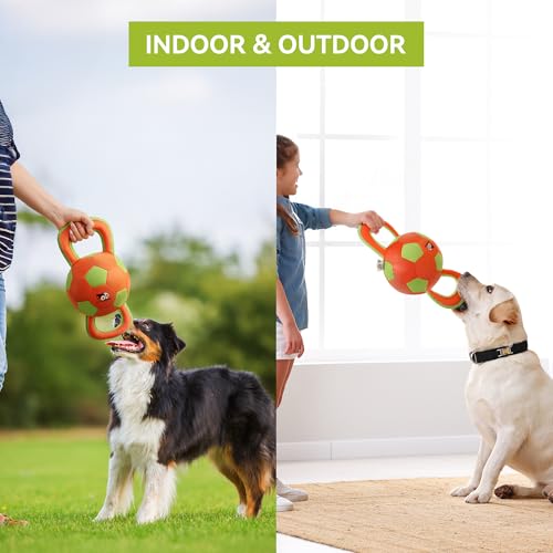 ALL FOR PAWS Handle Ball - Haltbares Hundespielzeug mit Quietscher, Hartes Hundespielzeug für aggressiv beißende Hunde, interaktives Spielzeug, Farbauswahl