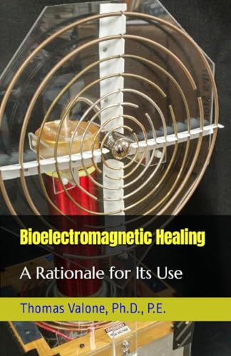 Bioelectromagnetic Healing: A Rationale for Its Use