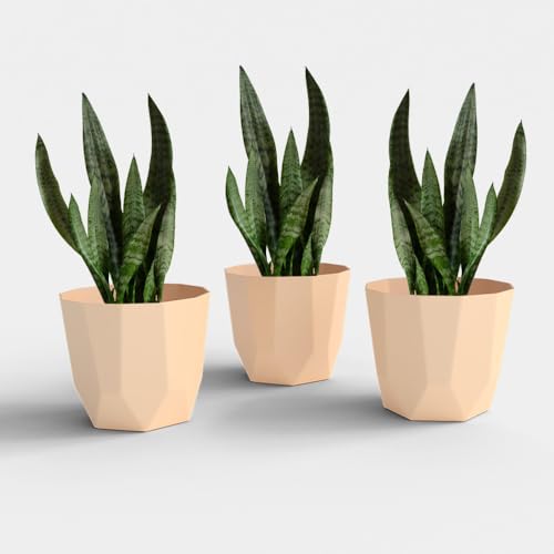 Image of YUCCABE ITALIA SHERA Hexa Plastic Planter Pot for Plants | Decorative Flower Pot | UV Protected Lightweight Indoor Outdoor Gamla for Home Decor, Balcony, Garden & Living Room