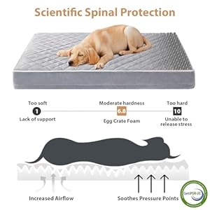 WNPETHOME Orthopedic Dog Beds for Large Dogs, Extra Large Waterproof Dog Bed with Removable Washable Cover & Anti-Slip Bottom, Egg Crate Foam Pet Bed Mat, Multi-Needle Quilting XL Dog Crate Bed WNPETHOME Orthopedic Dog Beds for Large Dogs Extra Large Waterproof Dog Bed with Removable Washable Cover Anti Slip Bottom Egg Crate Foam Pet Bed Mat Multi Needle Quilting XL Dog Crate Bed