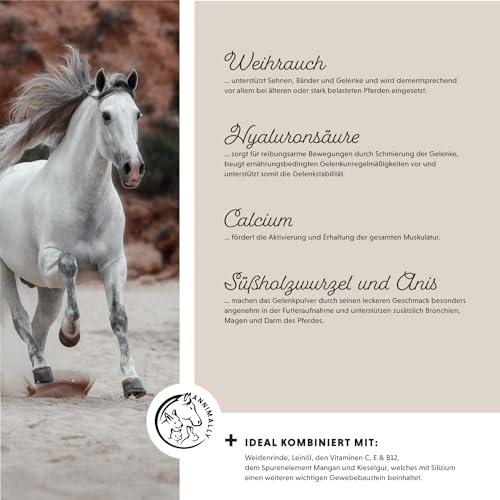 Annimally Gelenk Pulver für Pferde mit Kollagen, Kamille, MSM (Schwefel), Glucosamin, Hyaluronsäure, Chondroitin - Zusatzfutter für die Stärkung der Gelenke beim Pferd - Alternative zu Liquid (850 g)