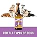 Natural Yeast Infection Relief for Dogs – Itchy Skin & Ear Treatment, Supports Allergy & Immune Health, Reduces Itching, Irritation & Inflammation, Liquid Drops, 8oz