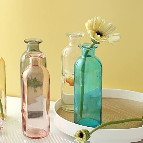 Glass Vases For Centerpieces,Unique Flower Vase,Decorative Glass Vase.(7 Pcs,Multicolor) #TOP5