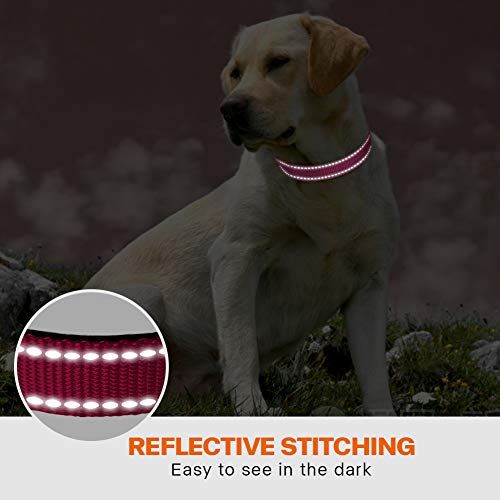 Taglory Hundehalsband, Weich Gepolstertes Neopren Nylon Hunde Halsband für Mittlere Hunde, Verstellbare und Reflektierend für das Training, Hot Pink