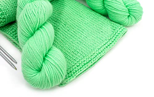 Image of Wool Pastel Color Acrylic Hand Knitting Yarn (Light Fern Green) (Hanks-300Gms)