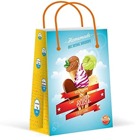 Premium Ice Cream Party Bags, Party Favor Bags, New, Treat Bags, Gift Bags, Goody Bags, Party Favors, Party Supplies, Decorations, 12 Pack