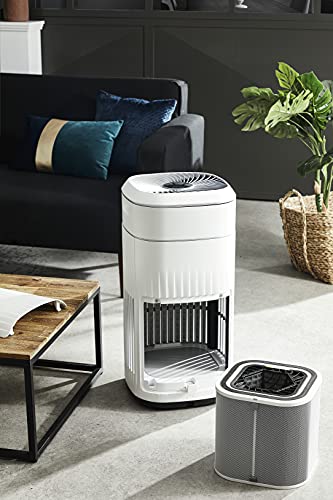 Filtre ROWENTA XD6084 Pure Home Filtre Nanocapture Purification de lair - vue 5