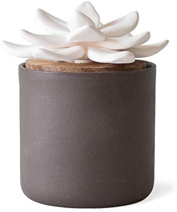 Edens Garden Taupe Ceramic Bloom Diffuser, Best Hand-Crafted Wick Essential Oil Diffuser For Aromatherapy (Best For Home & Office)