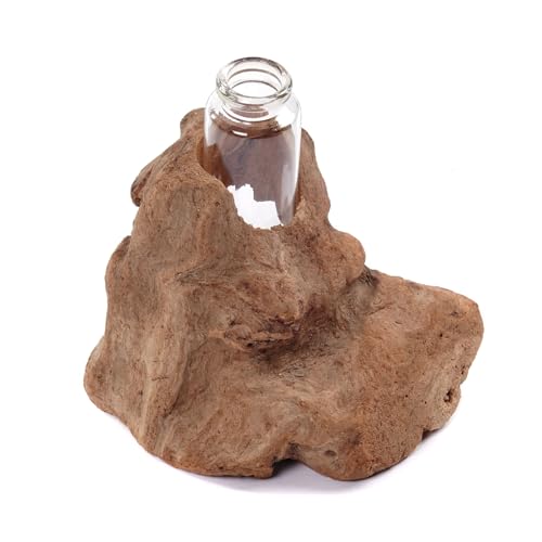 CREEDWOOD Vase en éprouvette Yuma | Bois flotté, 13x11cm (hxl) | Vase de Fleurs en Bois, Bois flotté avec Vase en Verre, Vase en Racine, Vase de décoration, de Table